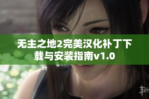 无主之地2完美汉化补丁下载与安装指南v1.0