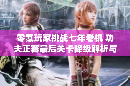 零氪玩家挑战七年老机 功夫正赛最后关卡降级解析与策略