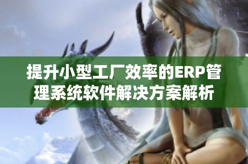 提升小型工厂效率的ERP管理系统软件解决方案解析