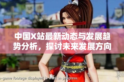 中国X站最新动态与发展趋势分析，探讨未来发展方向与挑战