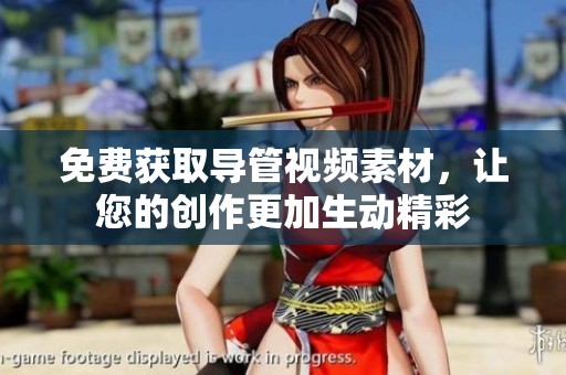 免费获取导管视频素材，让您的创作更加生动精彩